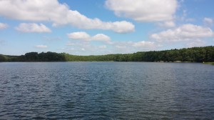 Jezioro Strzeszyńskie