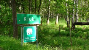 Kluki