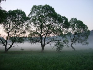 Mgła nad Piławą