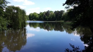 Park Sołacki w Poznaniu