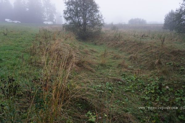 Początek Raby