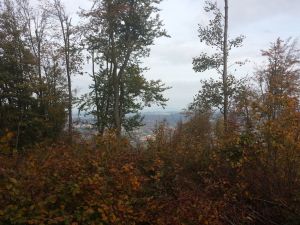 Widok 1