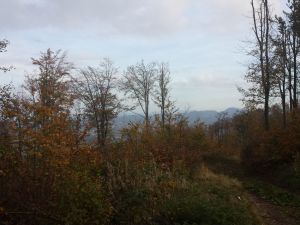 Widok 2