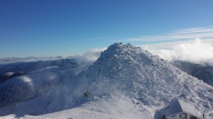 Widok z tarasu Rotundy