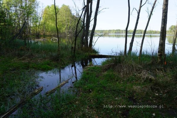 Wypływ Brdy z jeziora Smołowego