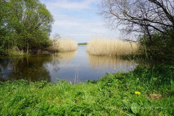 Wypływ Gwdy z jeziora Wierzchowo